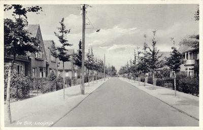 8114 Gezicht in de Looijdijk te De Bilt uit het oosten.